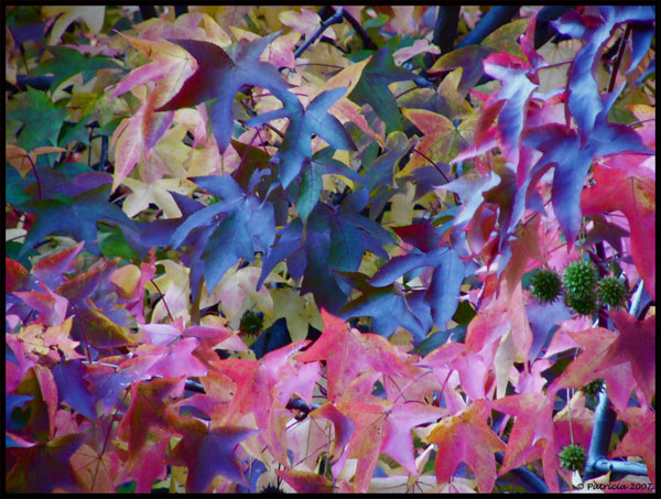 Image Hosted by ImageShack.us